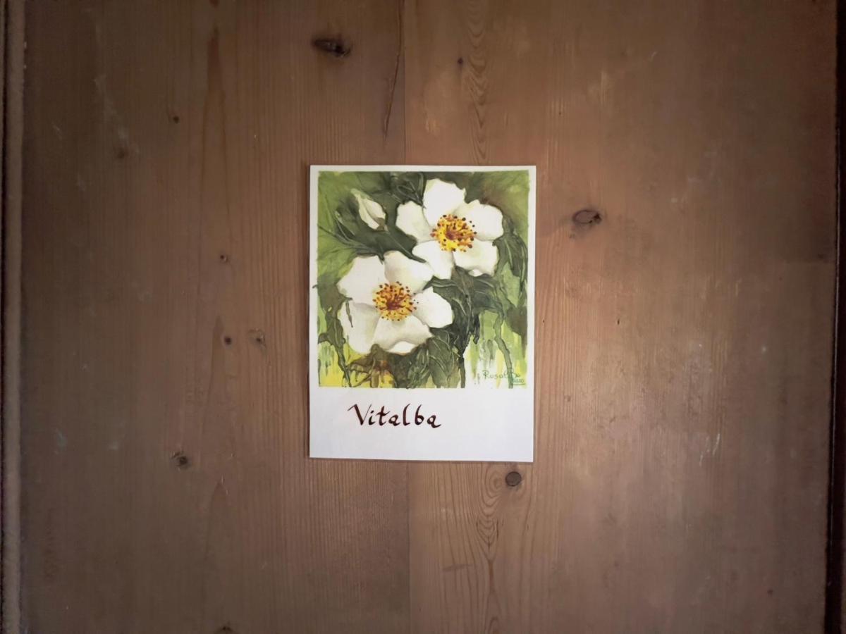B&B Il Posto Delle Rose 阿尔门诺－圣萨尔瓦托雷 外观 照片